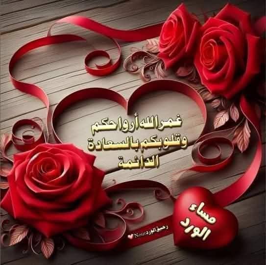صدام احمد 🌹🌹 tweet media
