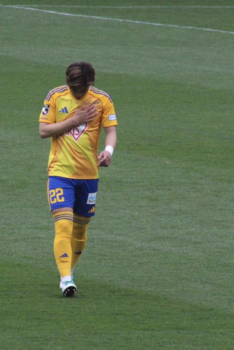 ゴードドン tweet media