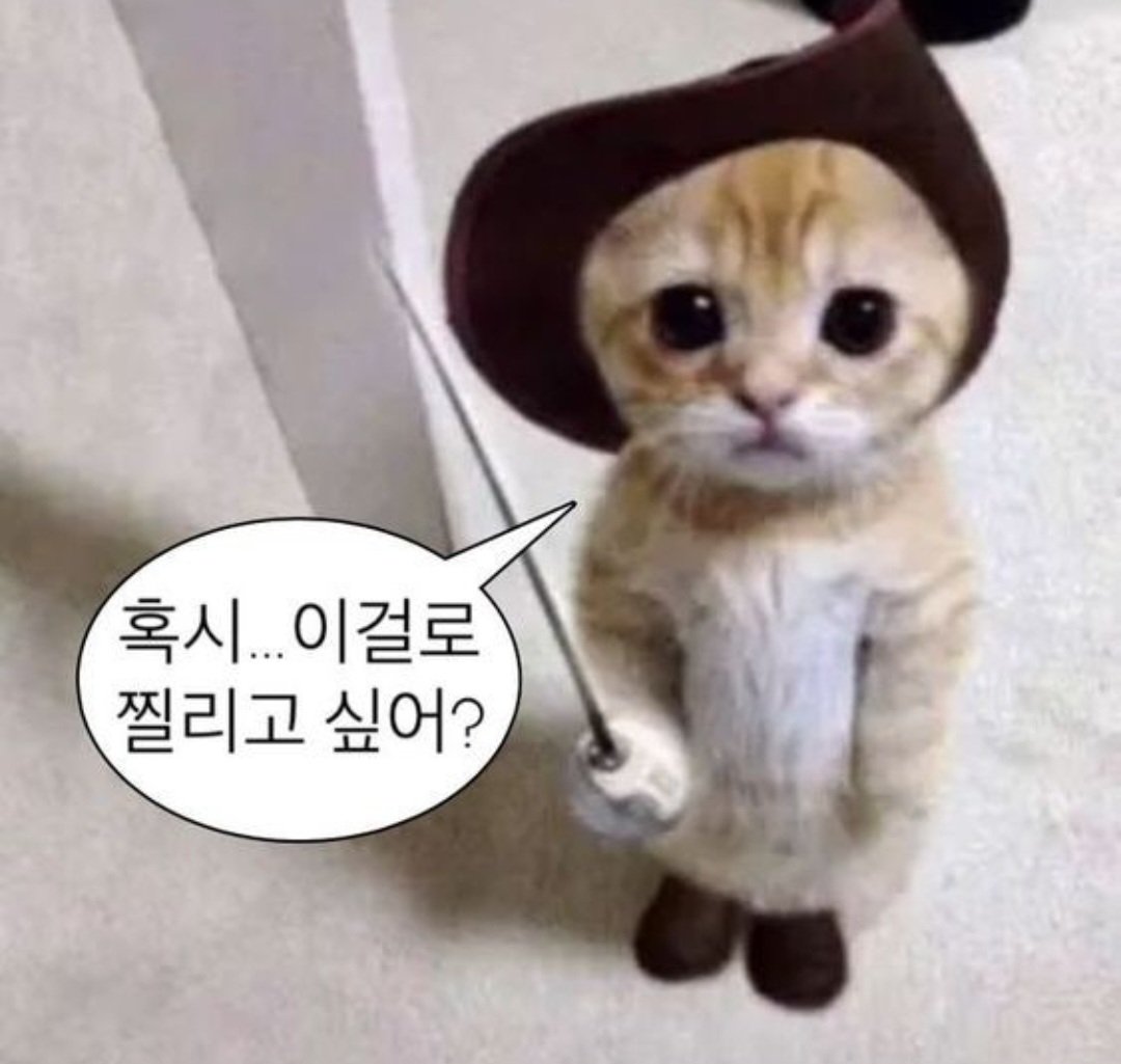 윤기가좋은 남주니장모(탕이마미💙) tweet media