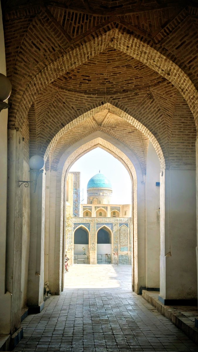 Ёмкость для вина tweet media