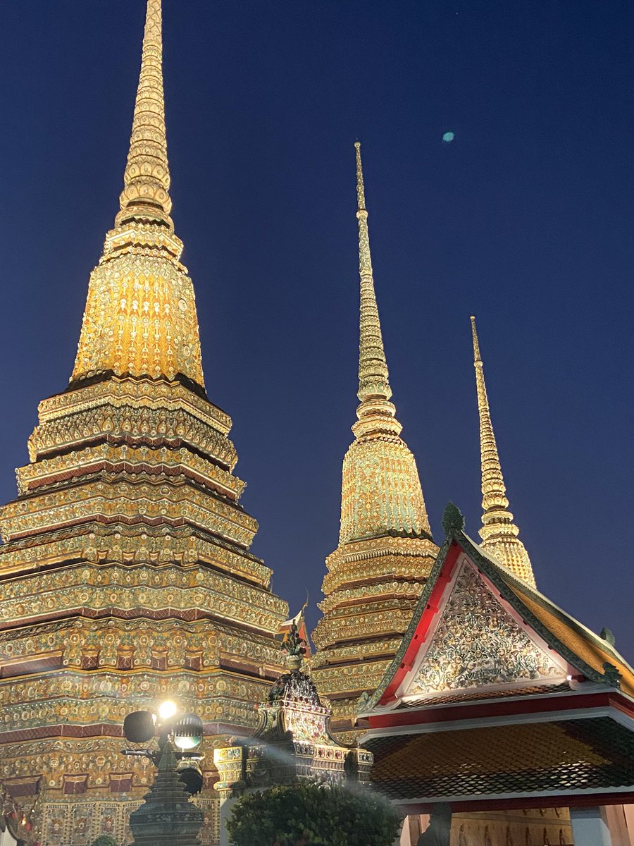 ดีเอ็มシ ft.แมวมอม✨ tweet media