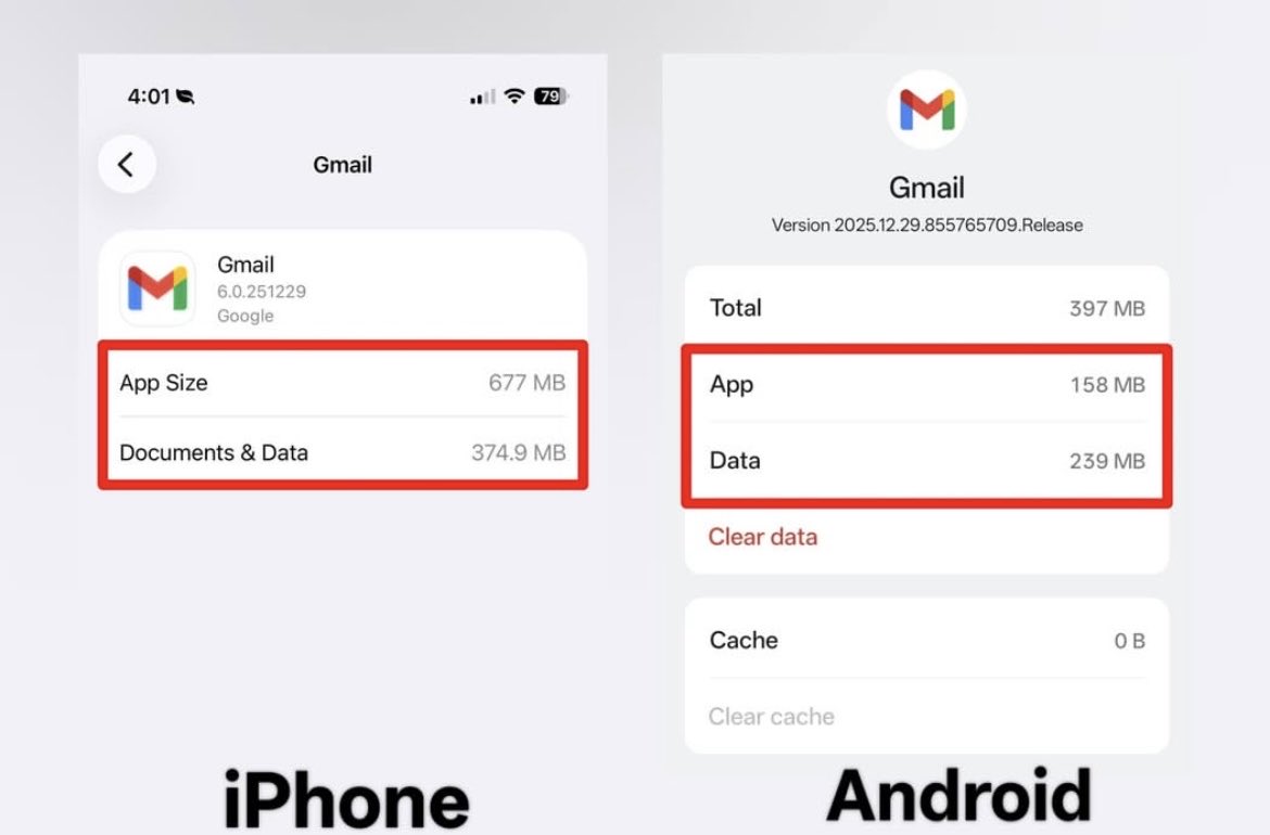 NZ ☄️ tweet media