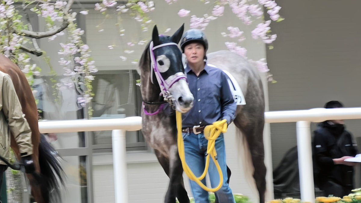 芦馬りか tweet media