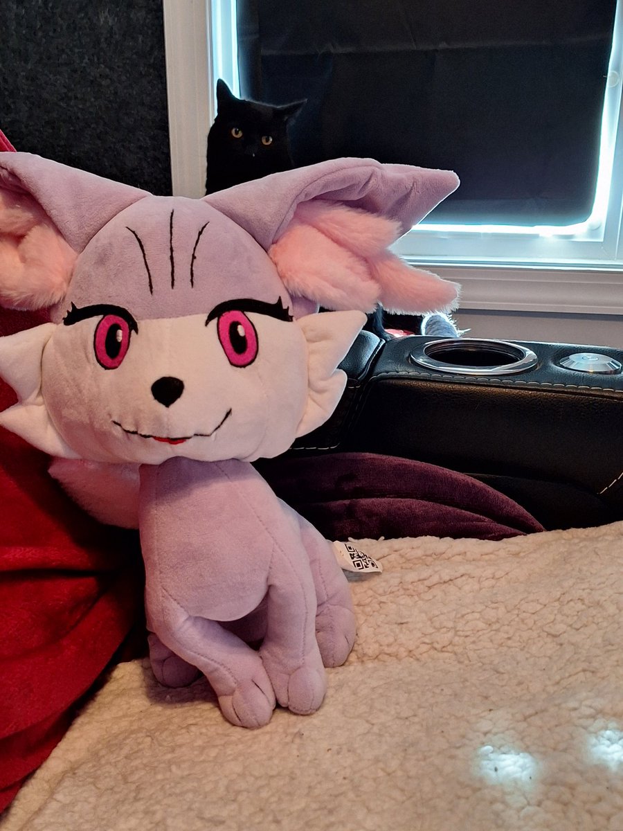 Braixian💜(Doing what makes me happy) tweet media