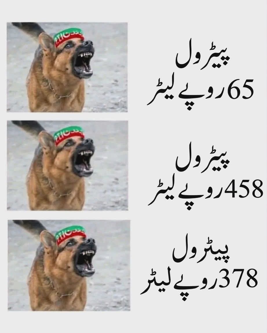 𝐒𝐡𝐚𝐤𝐢𝐫 𝐉𝐮𝐠𝐠𝐚𝐧 tweet media