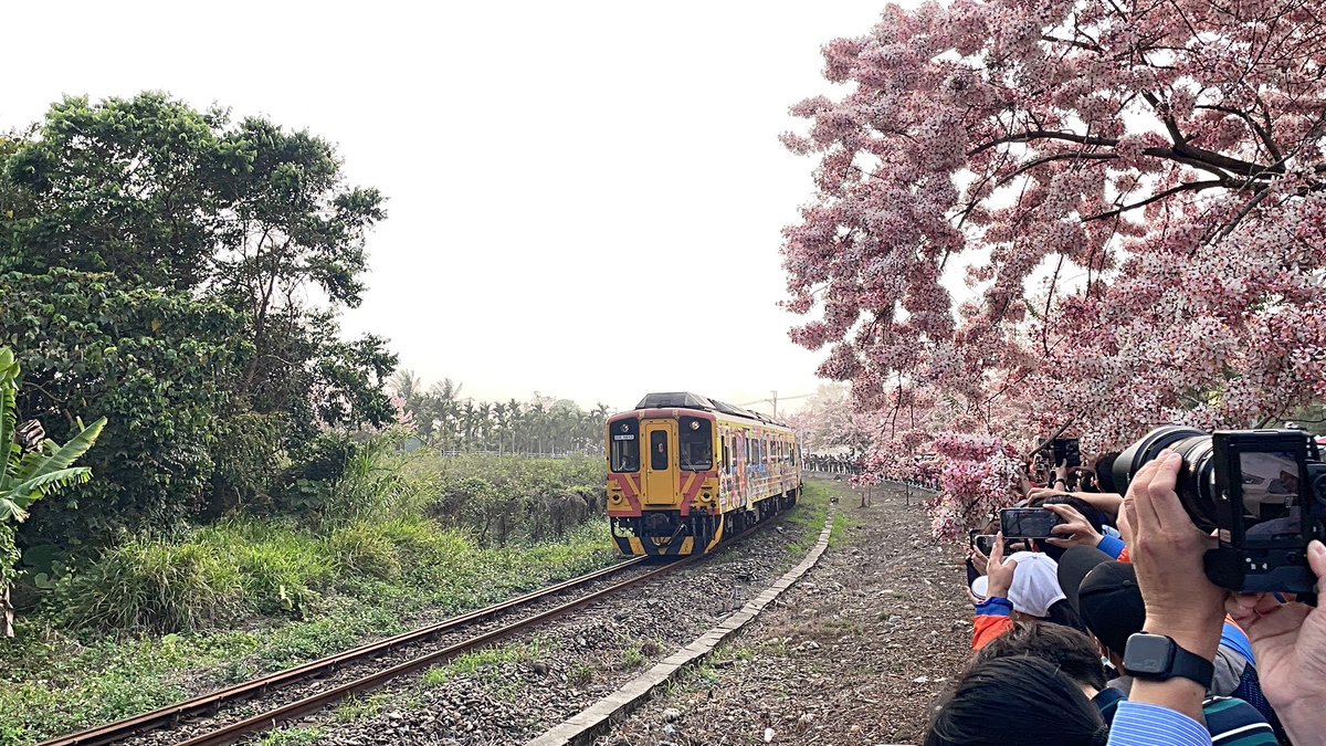 Kevin Li tweet media