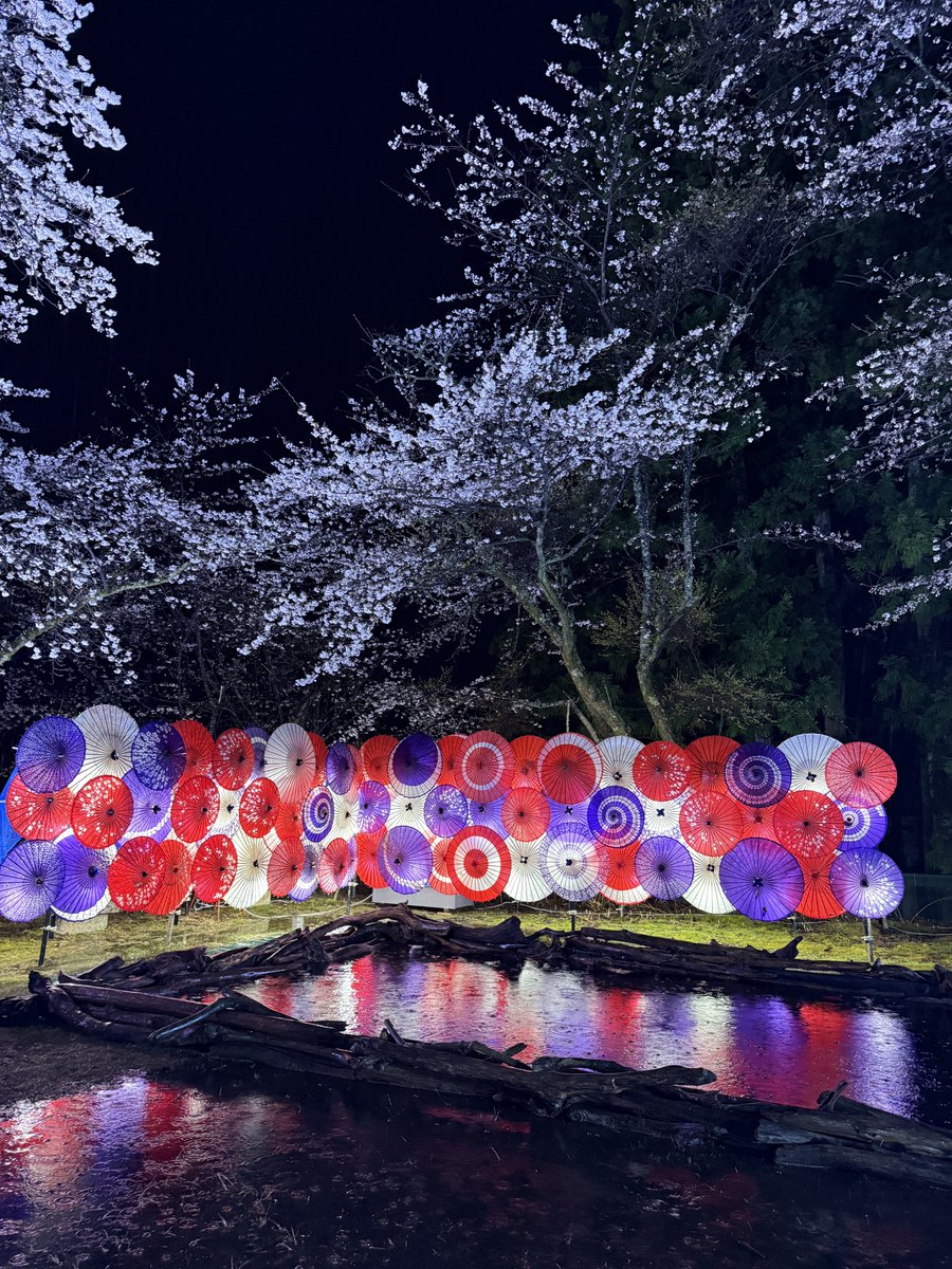 てぃー🇵🇭 セブと東京の両方住みが目標🇯🇵 tweet media