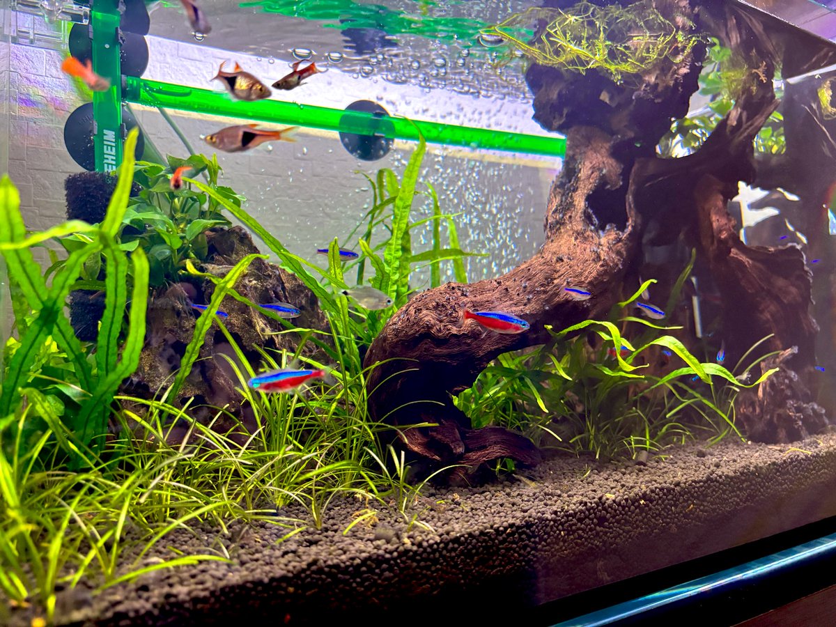 ボットマン tweet media