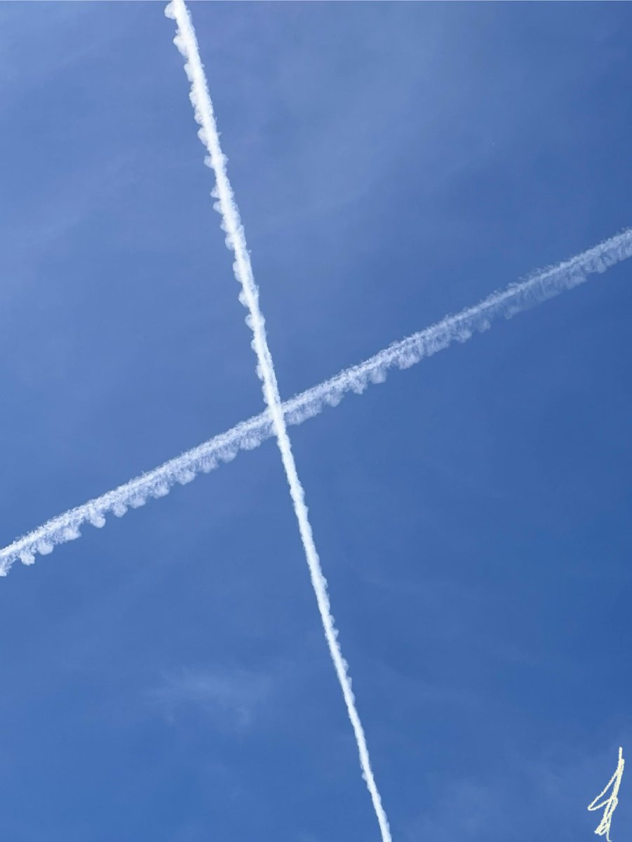 Glaucópida tweet media