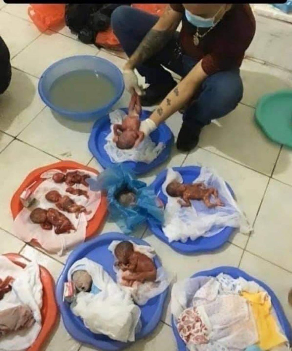 Más Vida tweet media