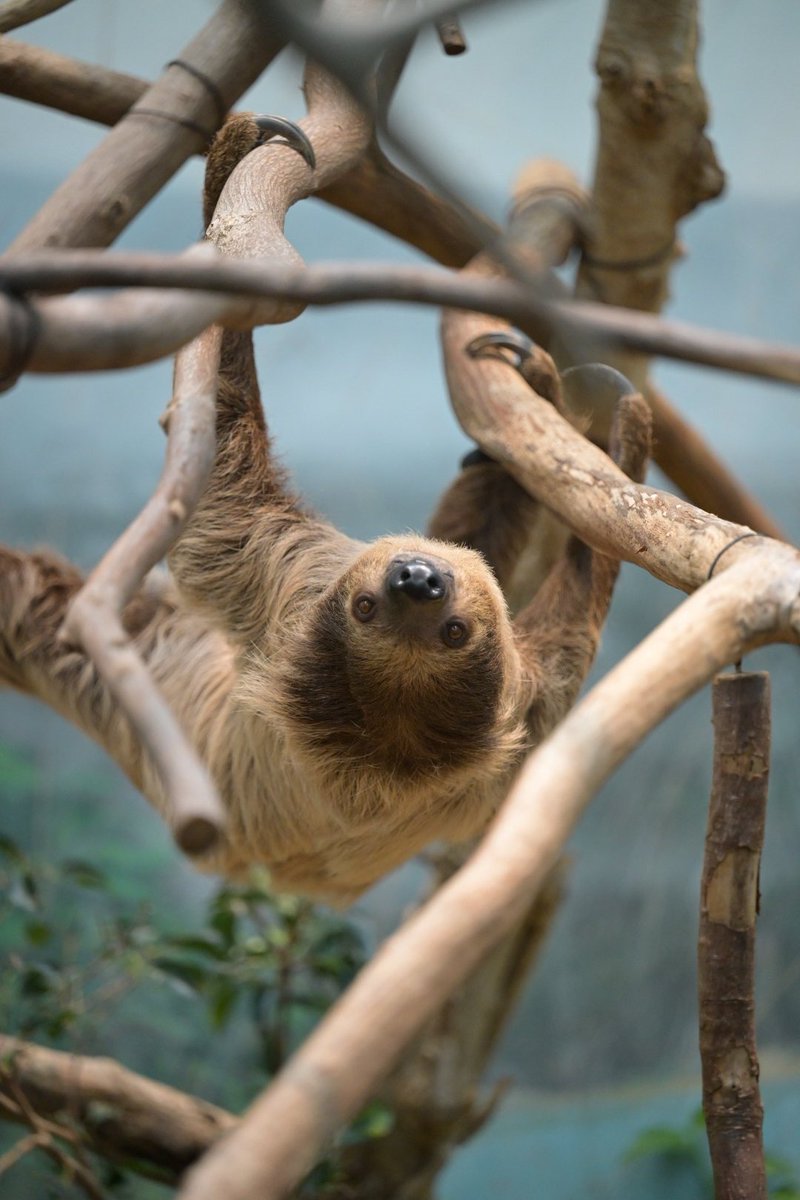 nobuharunakamura tweet media