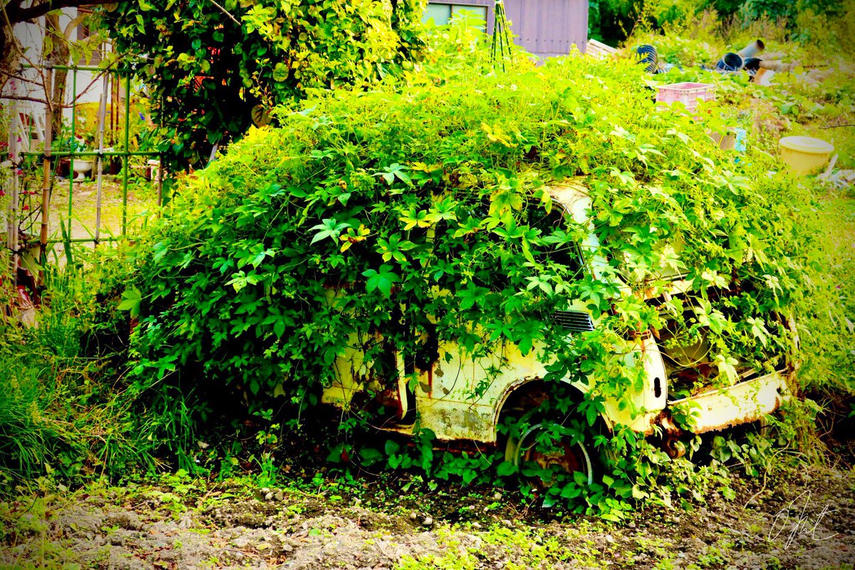 ｫﾑT=з宀 tweet media