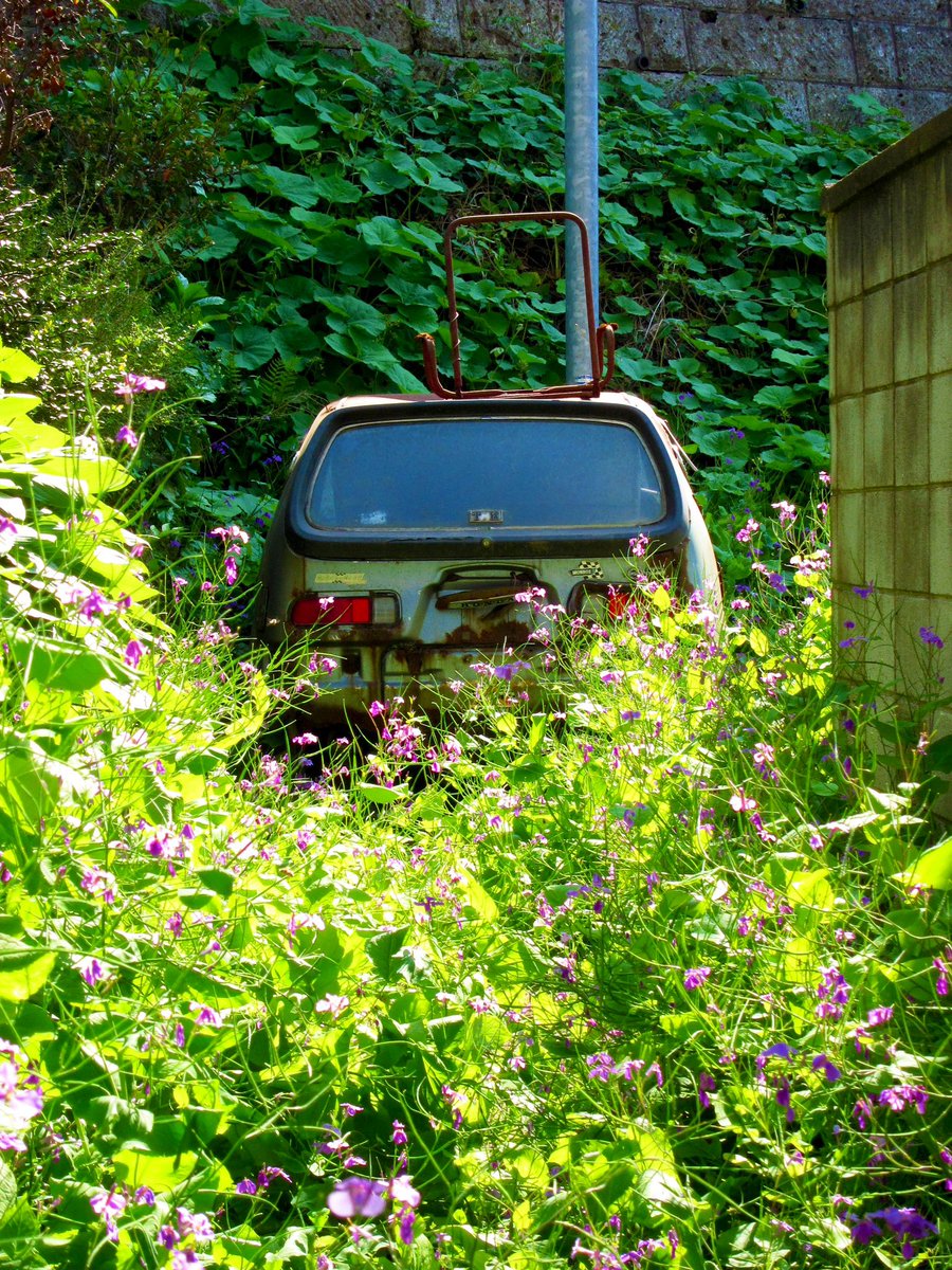 ｫﾑT=з宀 tweet media