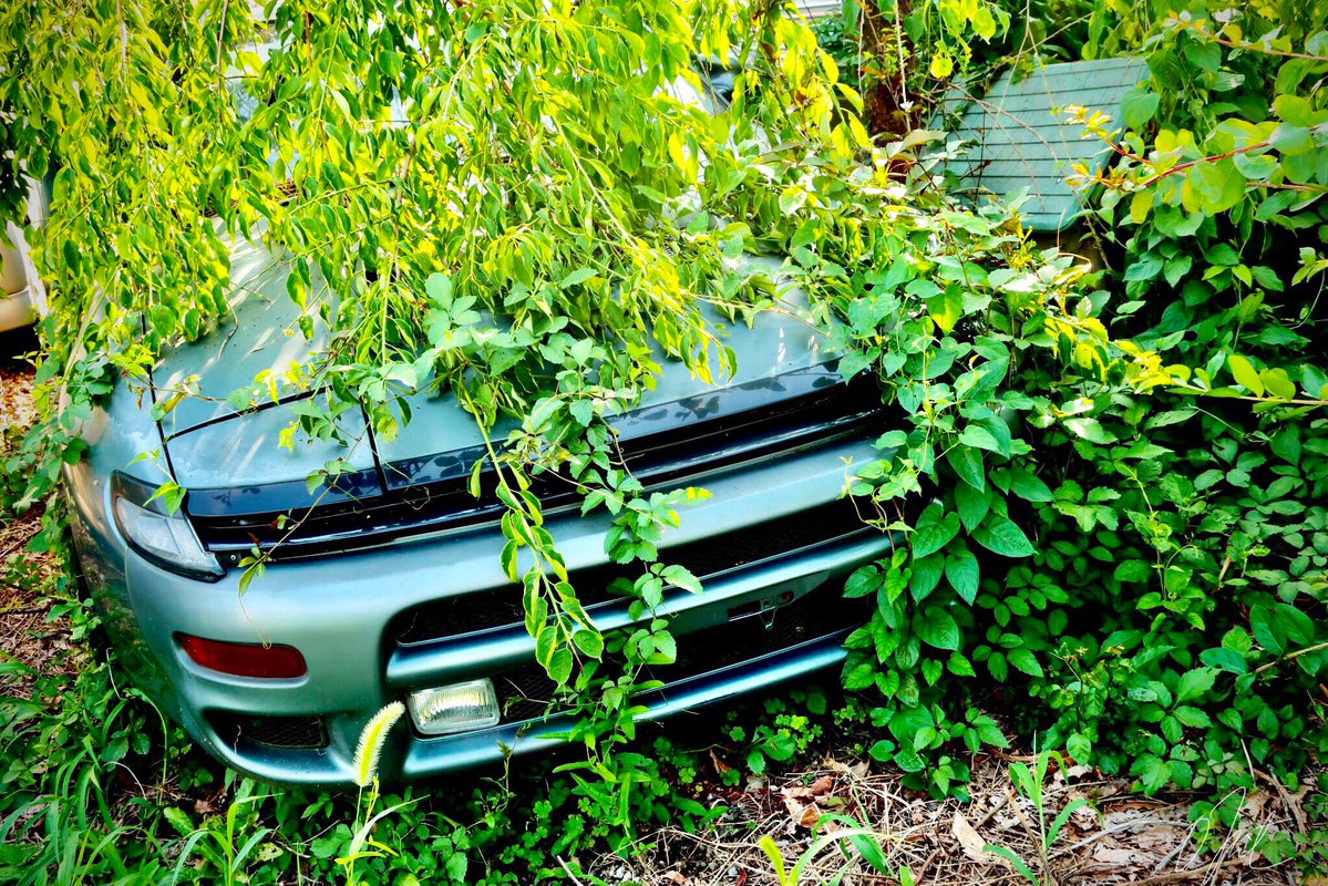 ｫﾑT=з宀 tweet media