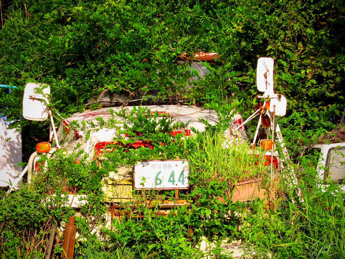 ｫﾑT=з宀 tweet media