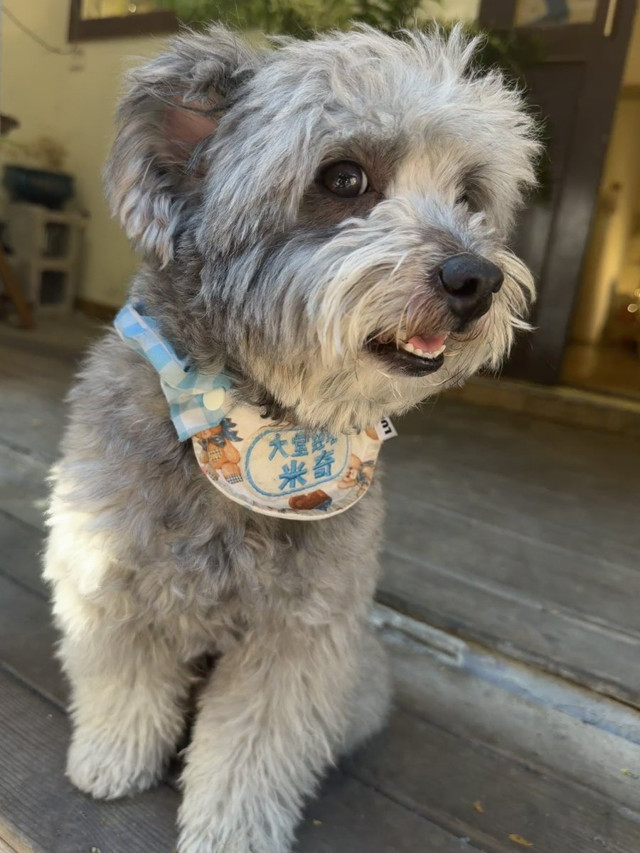 Lemonade tweet media