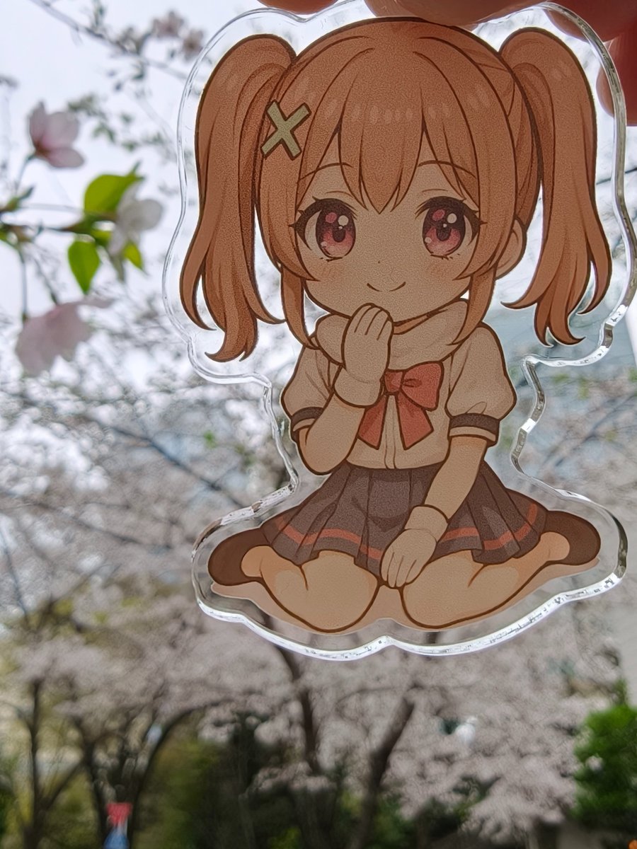 桜まだまだ咲いてるね。
毎年こうやって桜とアクキー撮るの楽しいよ🐰🍀
推し活的に言うなら花よりアクキーやな( ´∀｀ )

 #りこさんに見られ隊