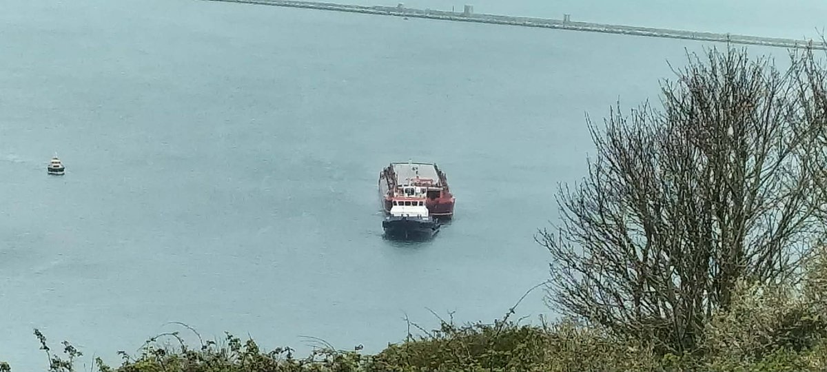 Justyn Ayton tweet media