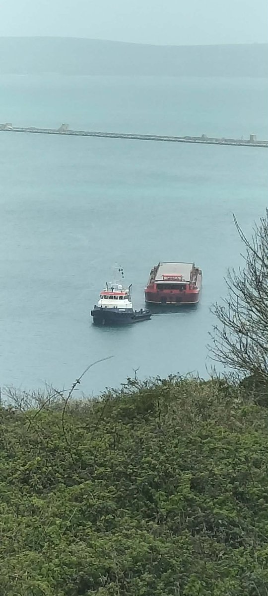 Justyn Ayton tweet media