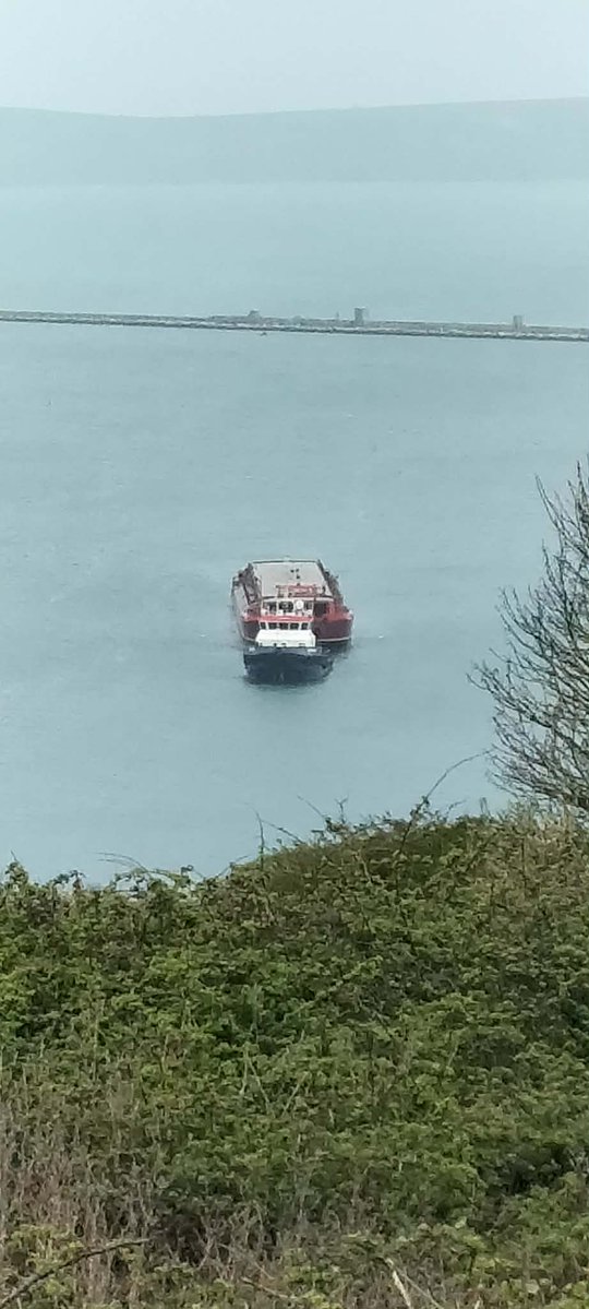 Justyn Ayton tweet media