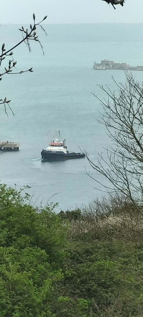 Justyn Ayton tweet media