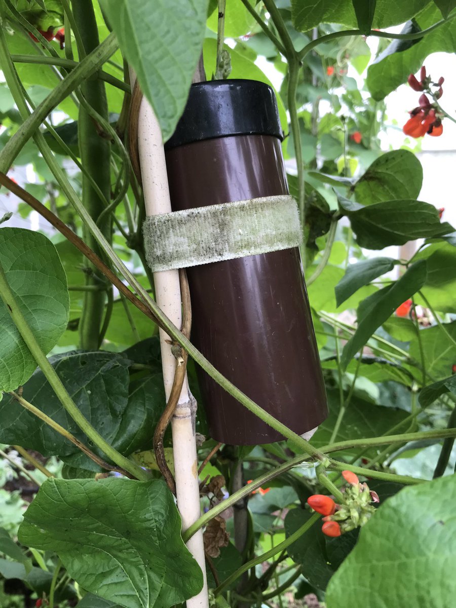 Prof Duncan Westbury tweet media