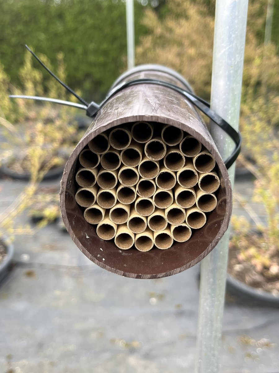 Prof Duncan Westbury tweet media