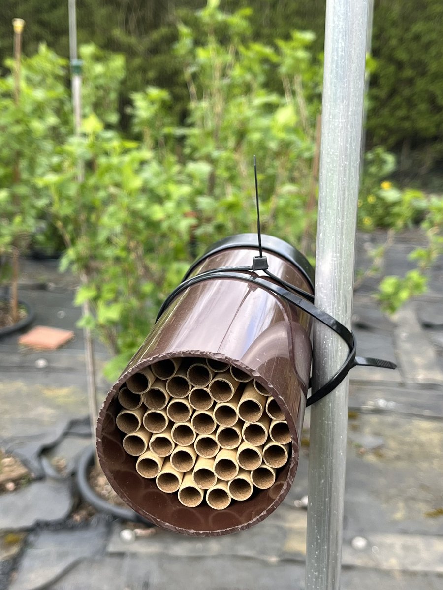 Prof Duncan Westbury tweet media