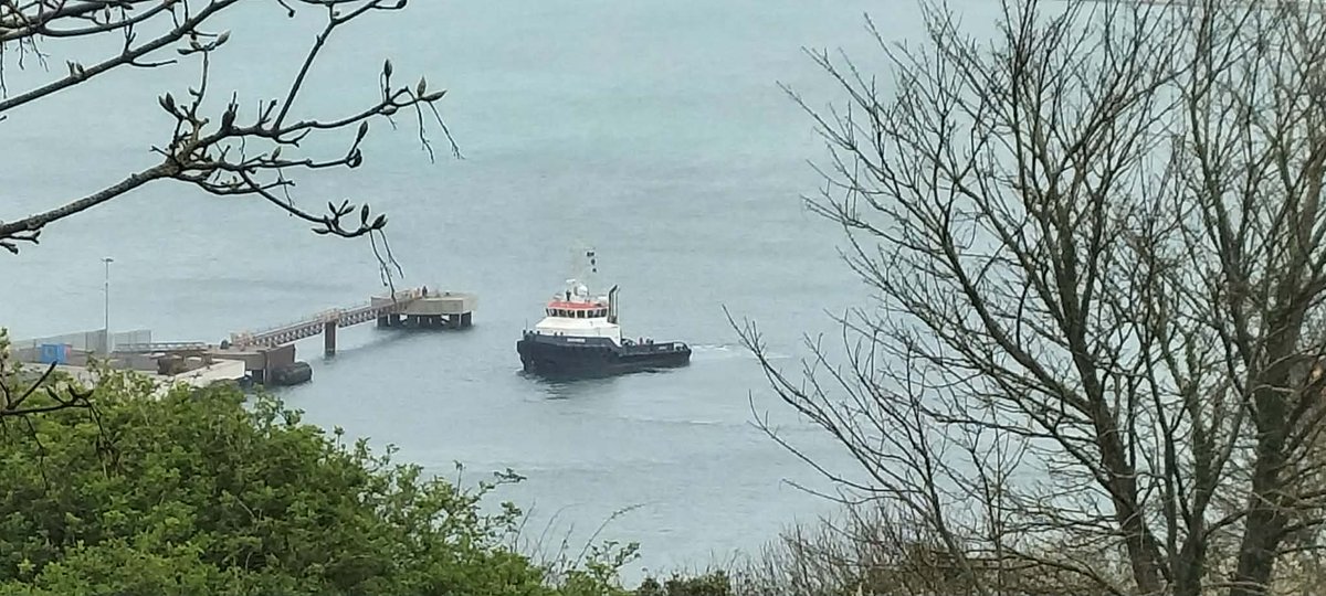 Justyn Ayton tweet media