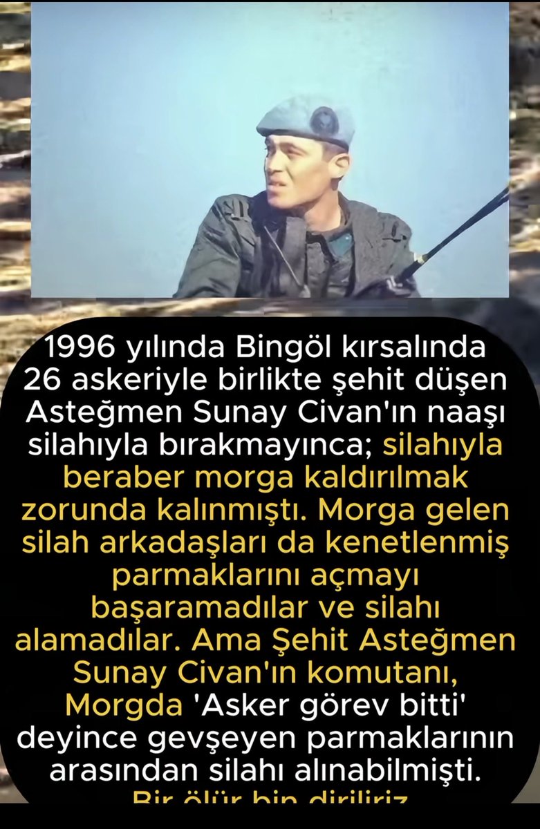 Türk kimdir?