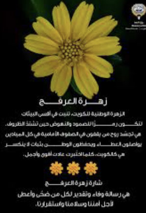 سيبراني tweet media