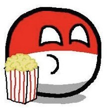 Sarkivia tweet media