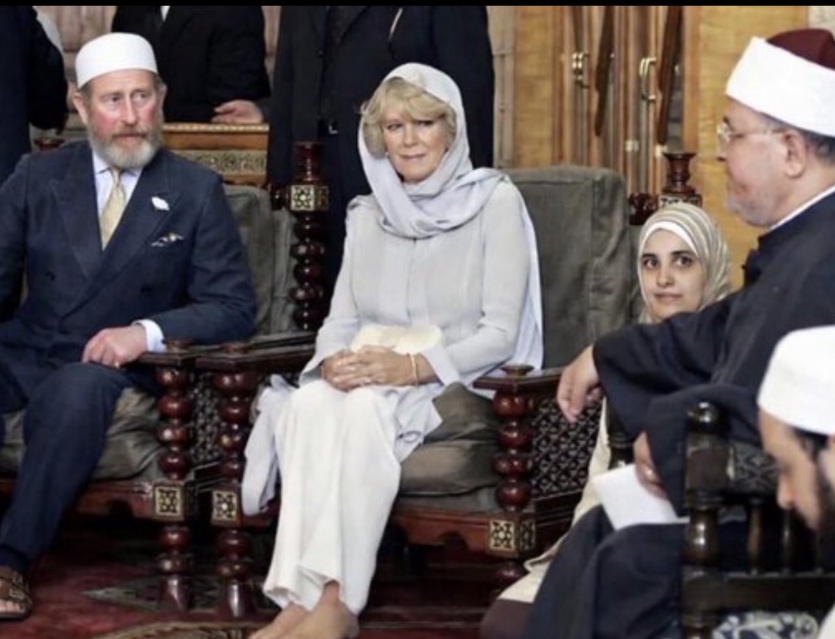 kamenskiy evgeny tweet media