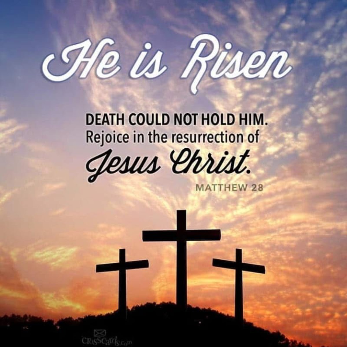 Living Waters NV tweet media