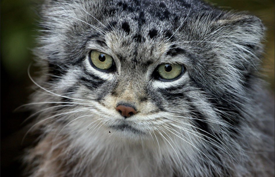 Christel tweet media