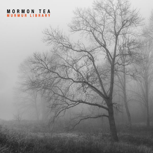 Mormon Tea (@TeaMormon76778) / Posts / X