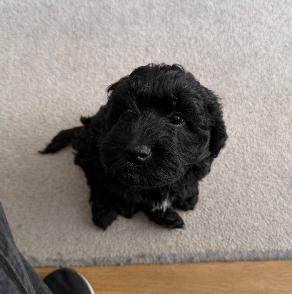 rosh ✩ tweet media