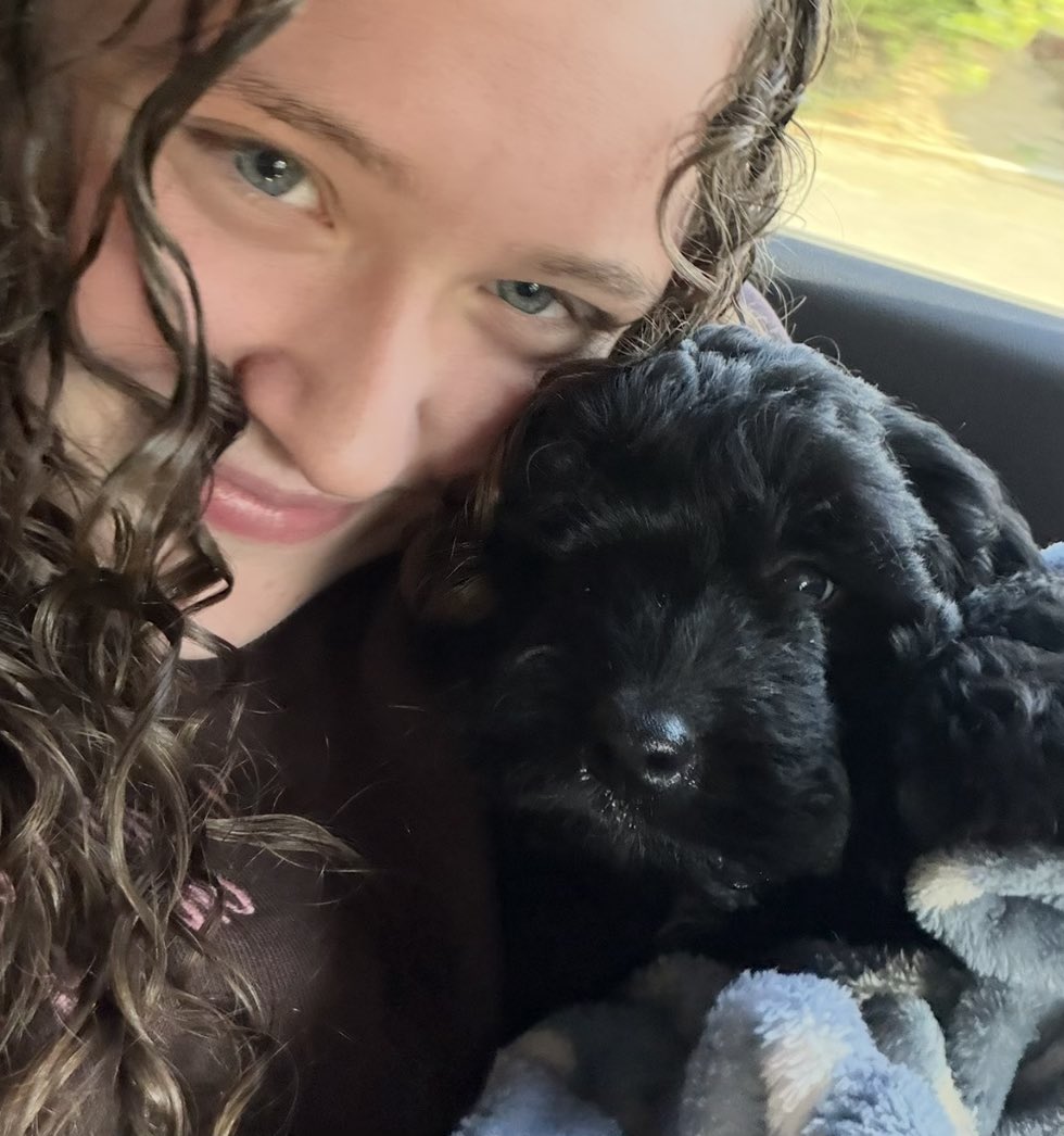 rosh ✩ tweet media