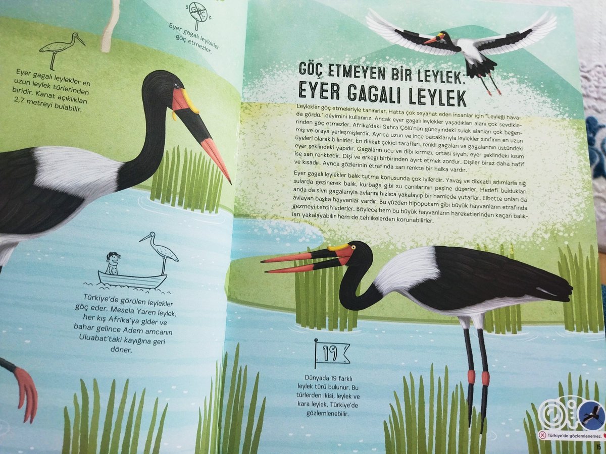 🪽 #kuşatlası #yarenleylek
<a href="/alpertuydes/">Alper Tüydeş</a> <a href="/coraman/">Emrah Çoraman</a>