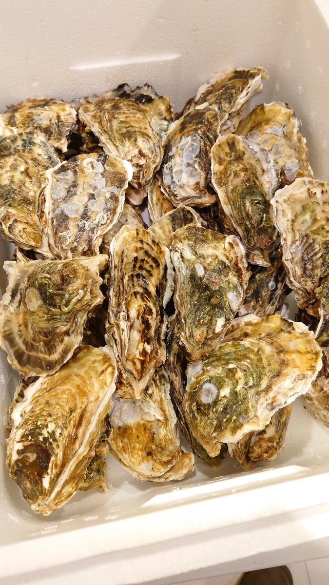 ゆ@桐生会 tweet media