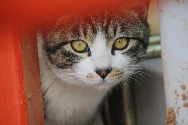 Jamie Smith tweet media