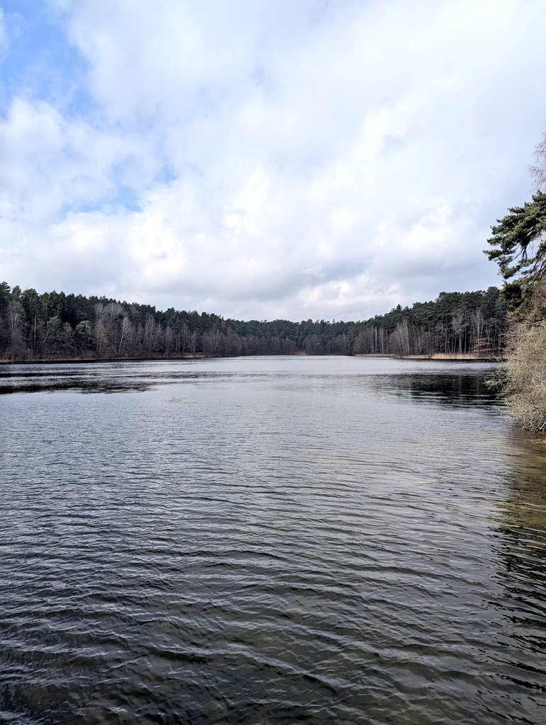 Joanna 🇵🇱 tweet media