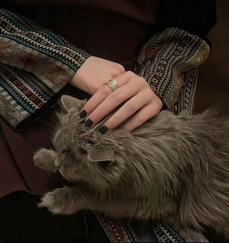 Yousra Butt tweet media