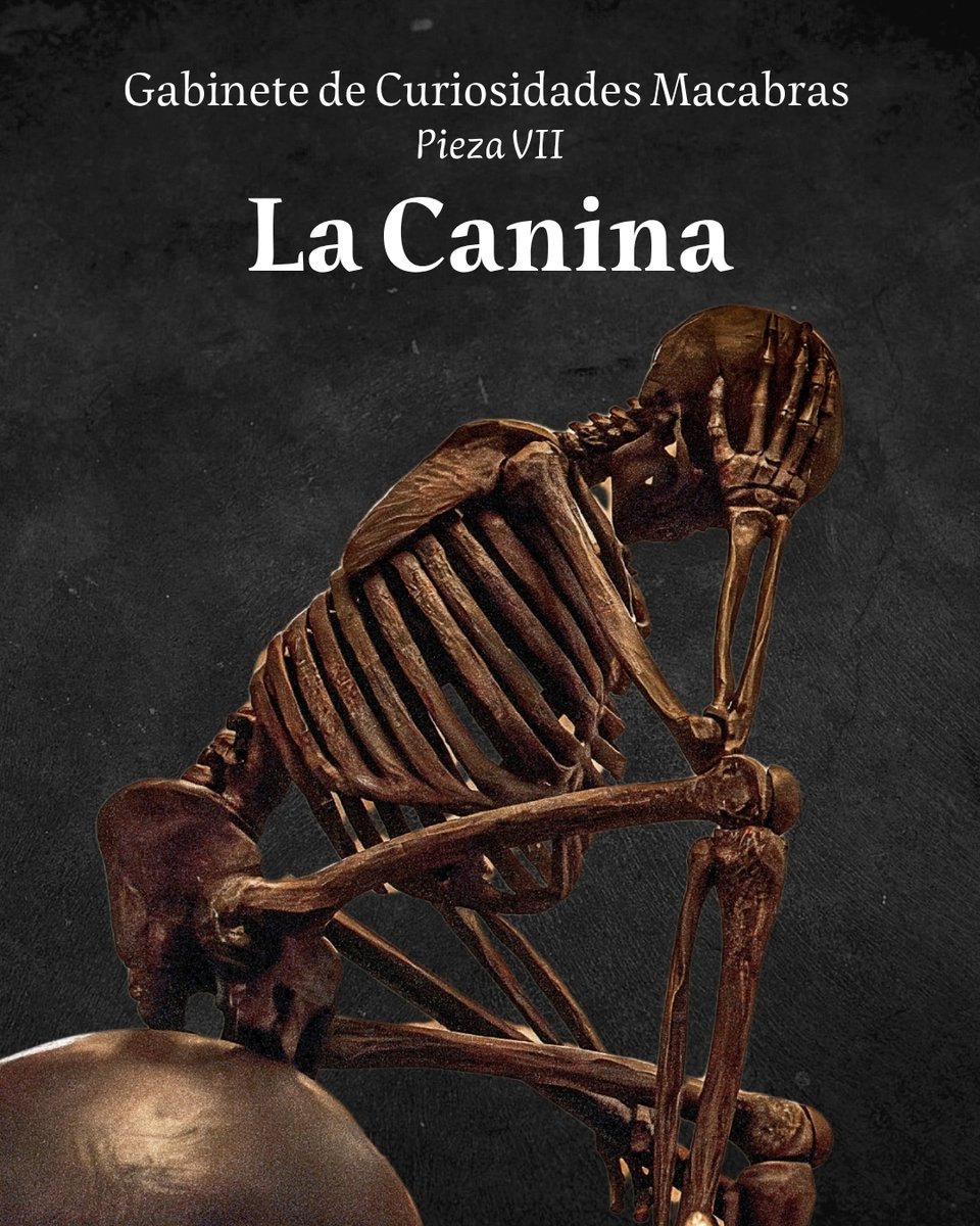 Desperta Ferro tweet media