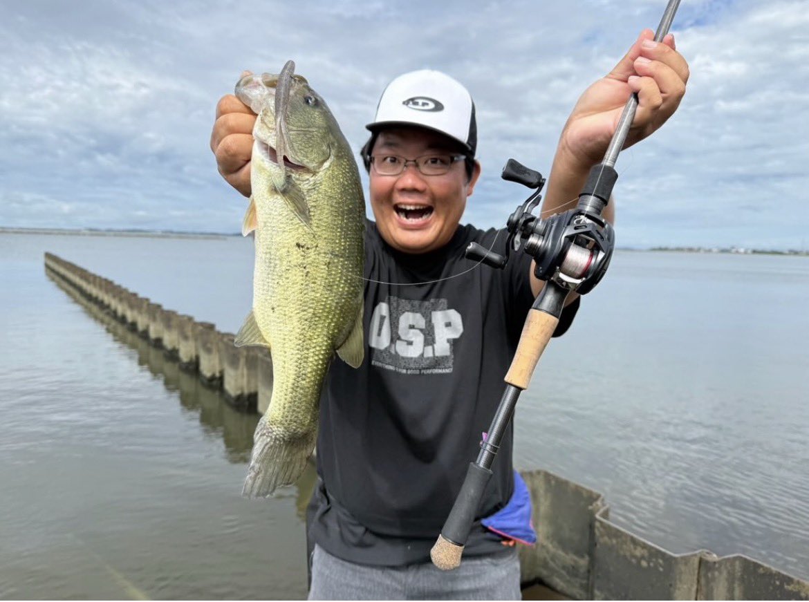 O.S.P Official tweet media