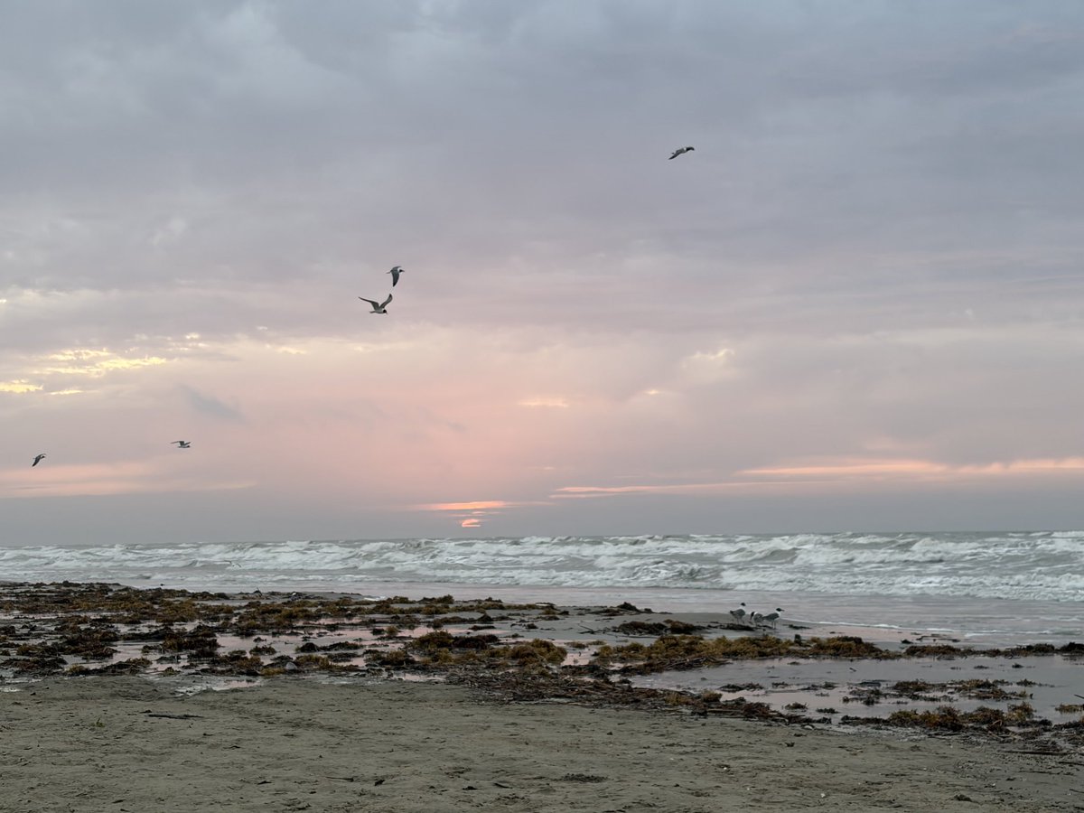 Sunrise conversations with the ocean. 10/10 would recommend