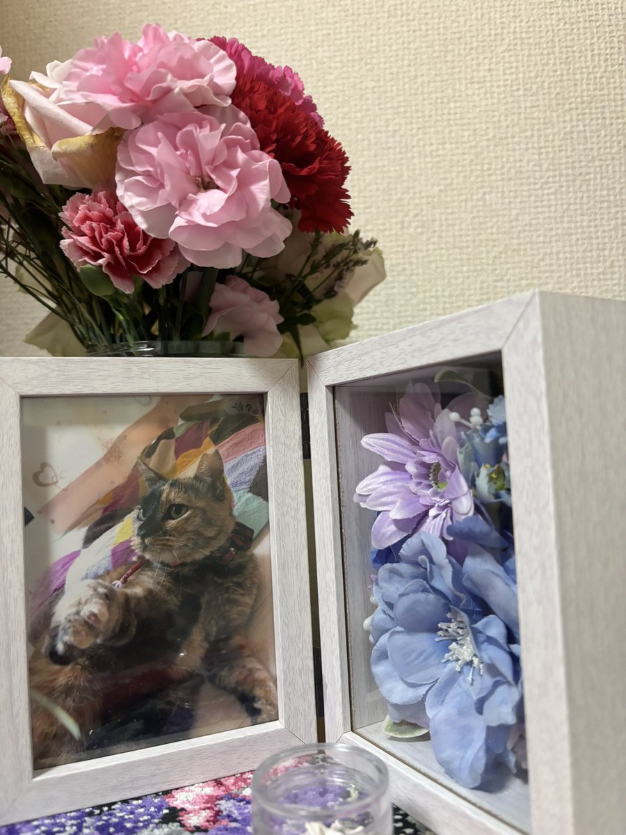 拝啓ねこ様ほんとに久しぶりに行けました😊✨️
猫ちゃん可愛かった😍うちに来てくれ✋笑

胃の調子を鑑みて選んでくれたおうどん屋さんめちゃ美味しかったし、
きなこの写真立てもやっと買えました！
付き合ってくれた友達にめっちゃ感謝🙏✨️
1日お子を見てくれたパパにも感謝🙏
 #拝啓ねこ様