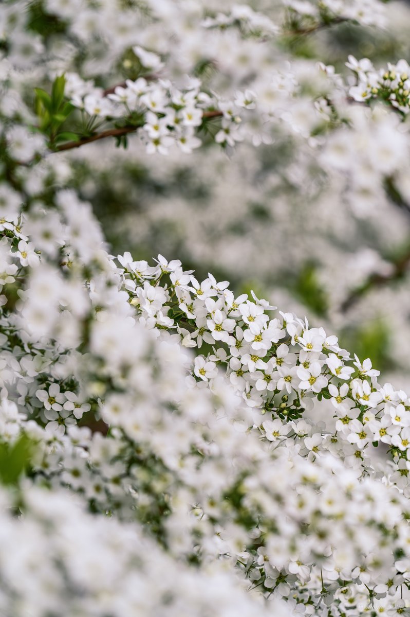 じゅんや⋆⸜︎✈︎⸝⋆ tweet media