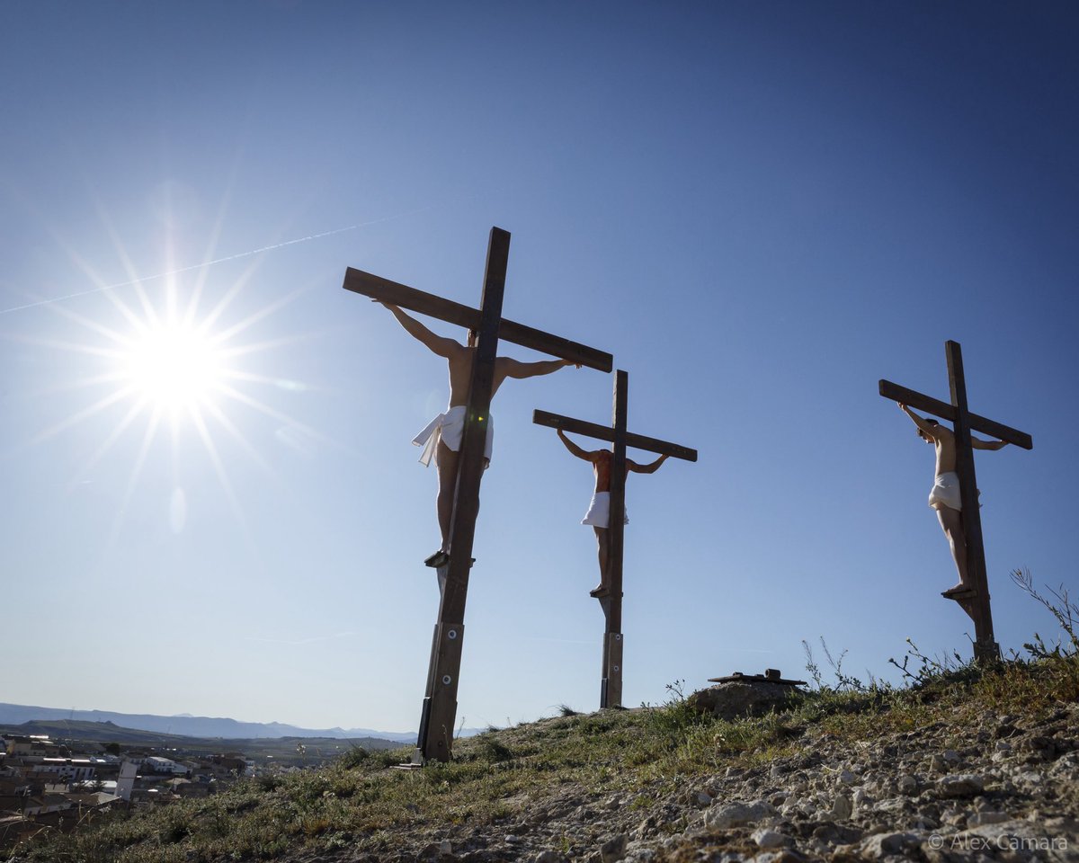 Álex Cámara tweet media