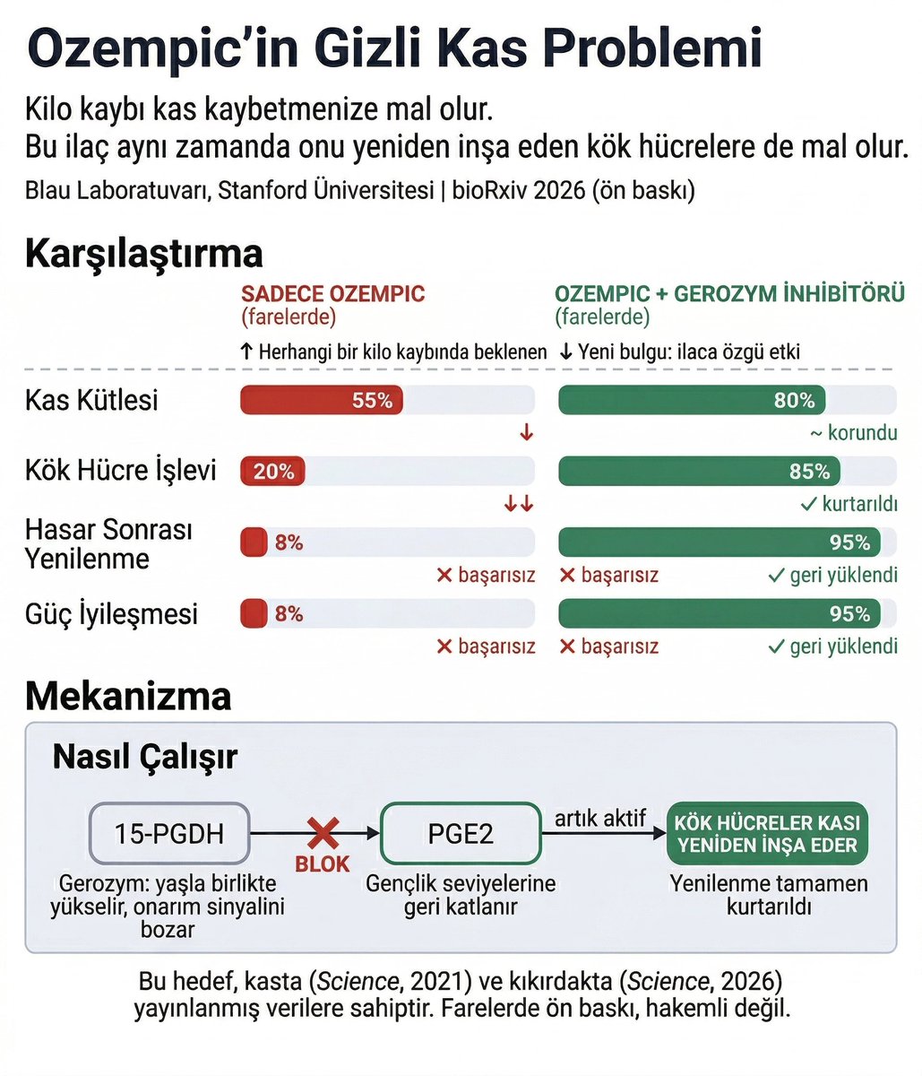 Prof. Dr. Kaan Yılancıoğlu tweet media